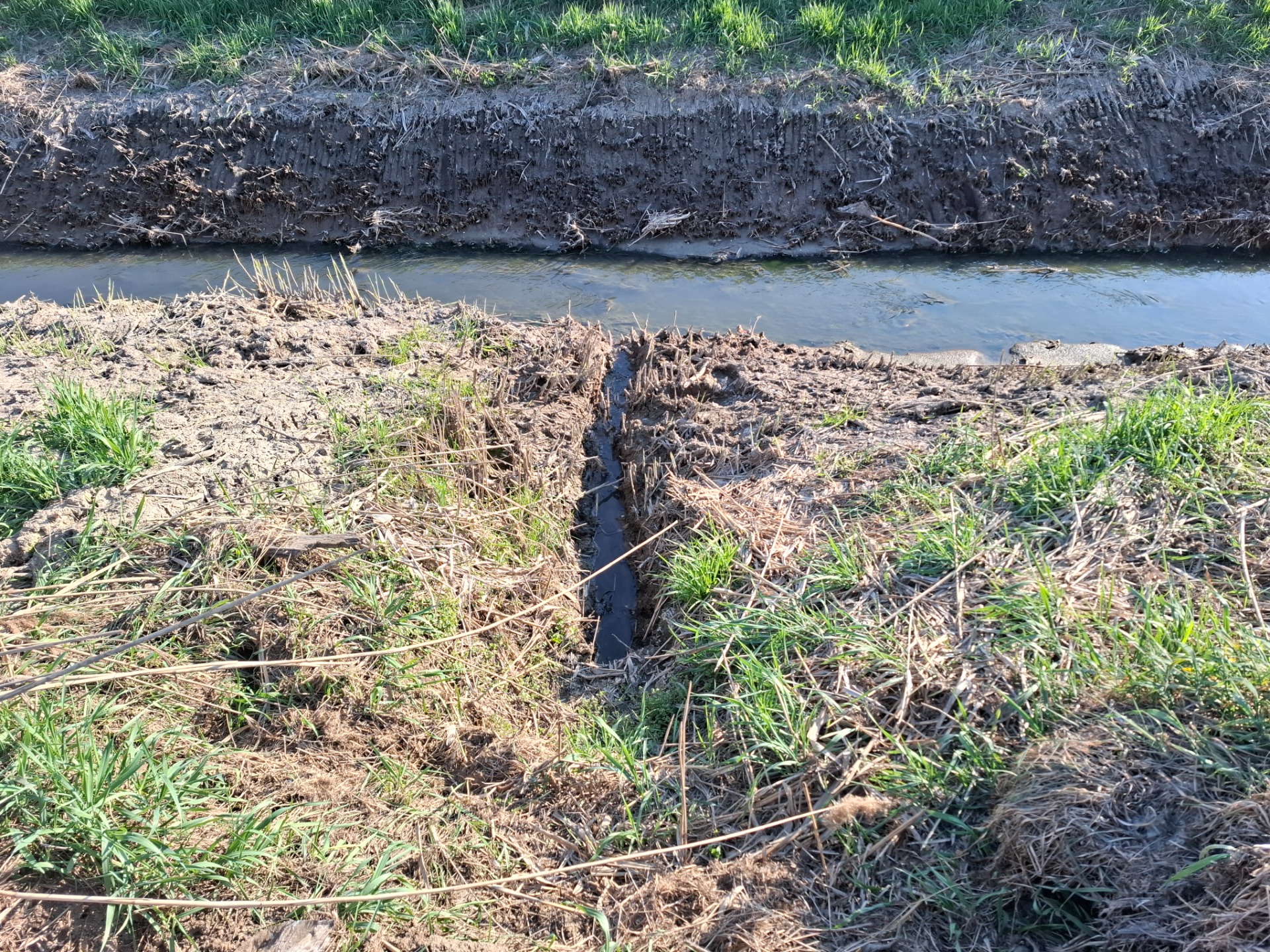 V okolí Syrovinky je vysoká hladina spodní vody, a proto mají někteří občané na svých pozemcích za domy vybudované drenáže, které odvádějí přebytečnou vodu do potoka.
